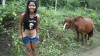 Heatherdeep.Com Celebrates A Woman'S Passion For Large Horse Penises, Resulting In Intense Squirting Orgasms.