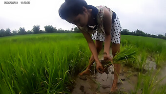 Amateur Girl Shows Off In Public Rice Fields