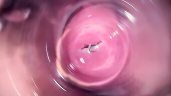 Close-Up Of Tight Vagina With Internal Camera In Homemade Video